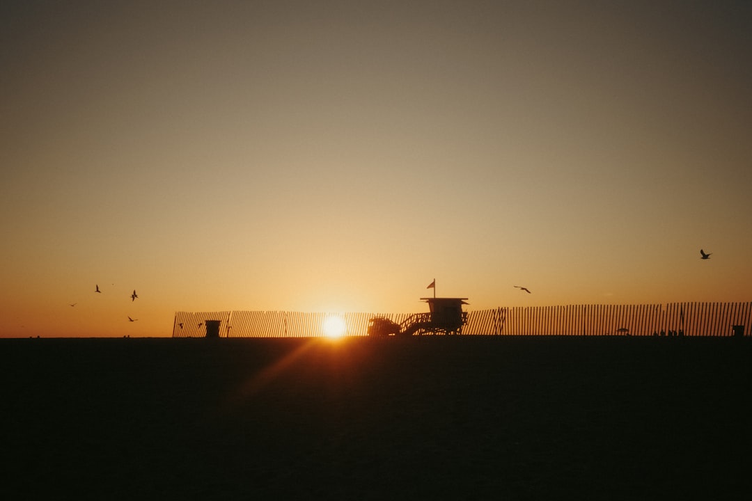 Enerji Savaşları ve Petrol: Küresel Gelişmeler Fiyatları Nasıl Baskılıyor?